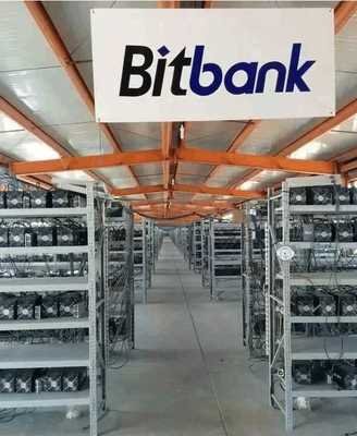 A dynamic mining farm showcasing multiple mining rigs working in unison