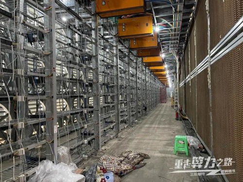 Expansive mining farm with rows of high-efficiency mining equipment